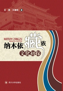 A Preliminary Study on the Tibetan Culture of Namuyi