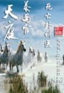 Heavenly Horse Keeper