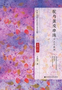 Ostrich Egg Skin Beads: More Than Decoration