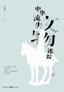 The Lost Cultural Relics of China 1