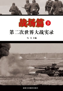Record of World War Ii: Battlefield (volume 2)
