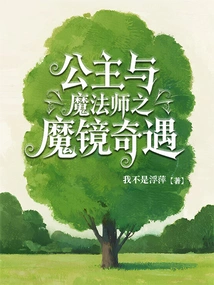 The Princess and the Sorcerer: Through the Looking Glass