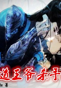 The Domineering Prince's Killer Concubine