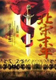 In the Late Northern Song Dynasty