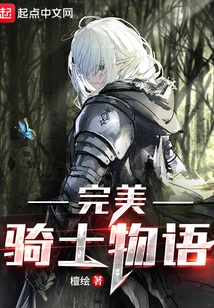 Perfect Knight Story