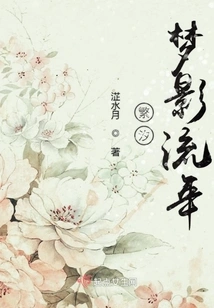 Fan Tide's Dream and Shadow Fleeting