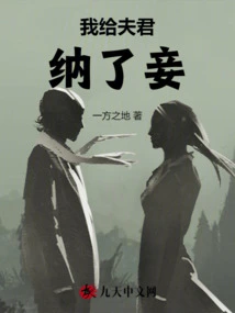 I Took a Concubine for My Husband