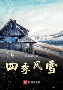 Four Seasons of Wind and Snow