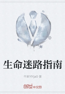 A Guide to Getting Lost in Life