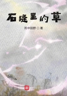 Grass in the Cracks of Rocks