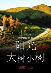 Sunshine Big Tree Small Tree