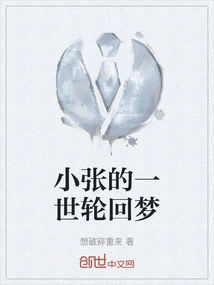 Xiao Zhang's Dream of Reincarnation