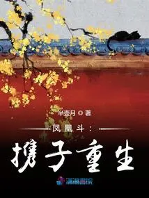 Phoenix Fight: Rebirth with Son
