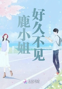 Miss Lu, Long Time No See