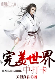 Check in in a Perfect World