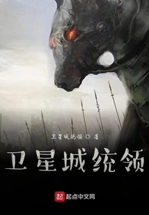 Satellite City Commander