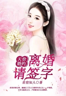 Sky-high Engagement Contract: Please Sign for Divorce