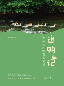 Chasing Ducks: Observations of Chinese Mergansers