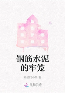 Reinforced Concrete Cage