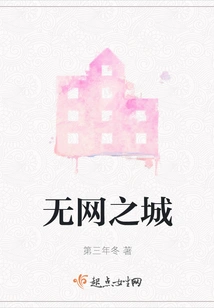 The City Without Internet