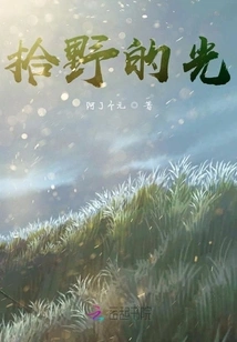 Picking up the Light in the Wild