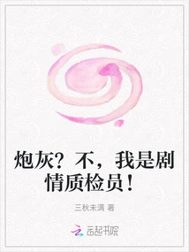 Cannon Fodder? No, I'm a Plot Quality Inspector!