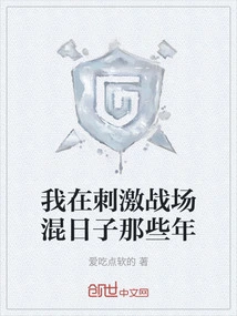 The Years I Spent Dawdling in the Excitement Battlefield