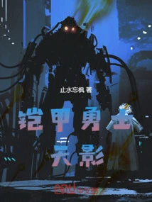 Armored Warrior: Sky Shadow