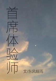 Chief Experience Engineer