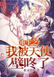 When I Was Reborn, I Was Raped by an Angel Wall