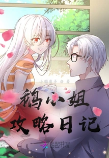 Miss Goose Strategy Diary