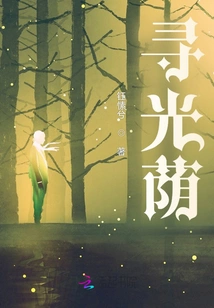 Looking for Light and Shade