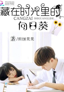 Sunflowers Hidden in Time