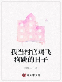 The Days When I Was a Village Official Were Like Crazy Things