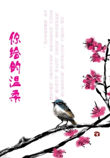 The Tenderness You Gave Me