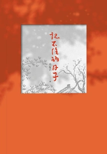 Days I Can't Remember