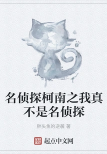 Detective Conan: I'm Really Not a Detective