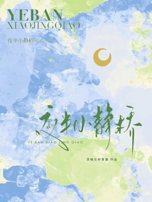 Small Quiet Bridge in the Middle of the Night