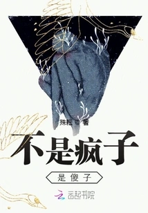 Not a Madman but a Fool