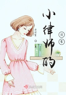 Daily Life of a Young Lawyer