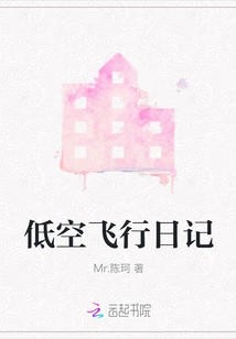 Low Altitude Flight Diary