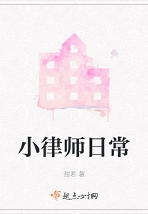 Daily Life of a Young Lawyer