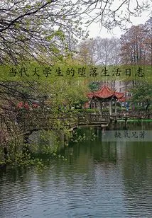 College Student's Salted Fish Life Diary