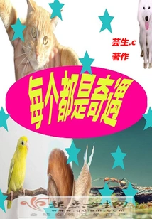 Every One is an Adventure