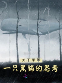 Thoughts of a Black Cat