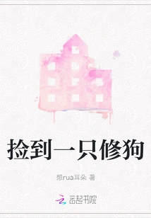 Picked up a Repair Dog