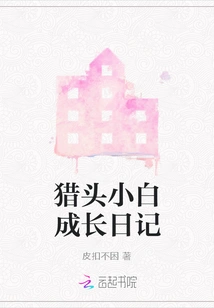 Headhunter's Growth Diary