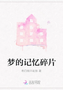 Dream Memory Fragments