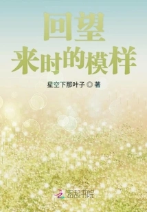 Looking Back on How it Looked When I Came Back