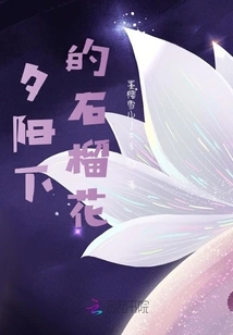 Pomegranate Flowers at Sunset